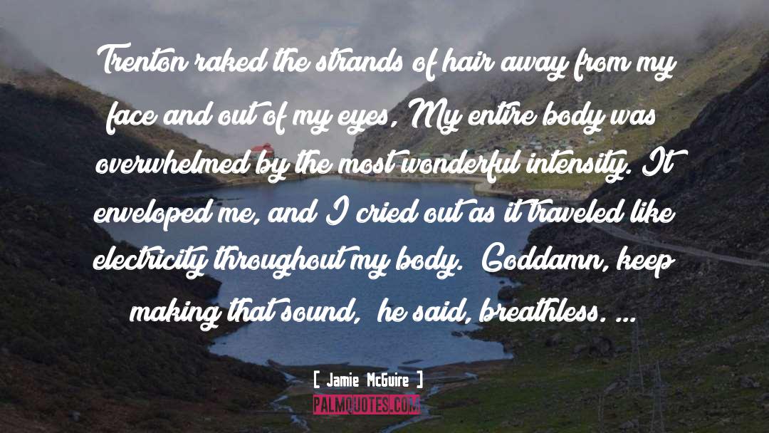 Traveled quotes by Jamie McGuire