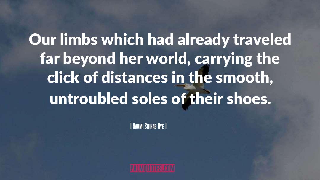 Traveled quotes by Naomi Shihab Nye