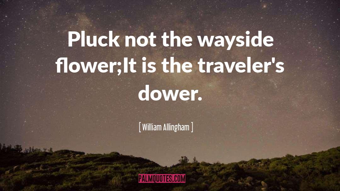 Traveler quotes by William Allingham