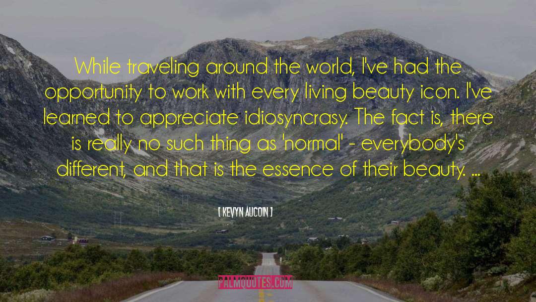 Traveling Around The World quotes by Kevyn Aucoin