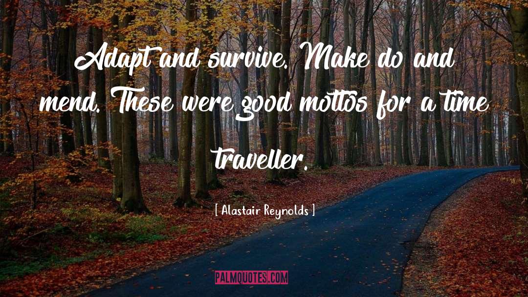 Traveller quotes by Alastair Reynolds