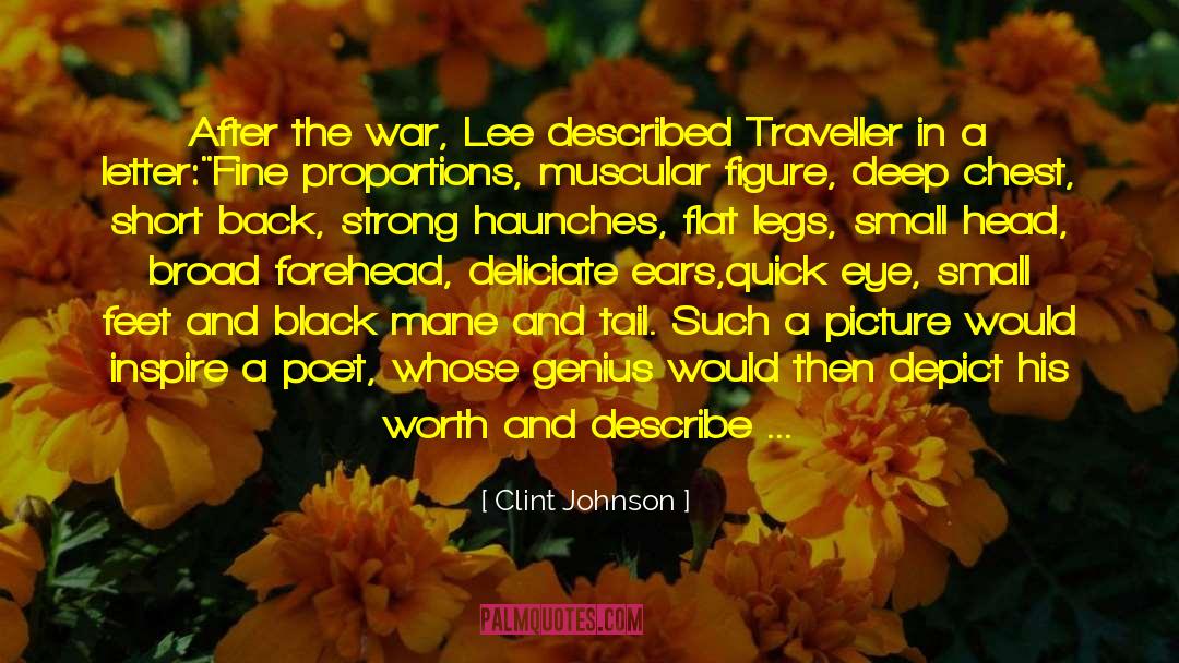 Traveller quotes by Clint Johnson