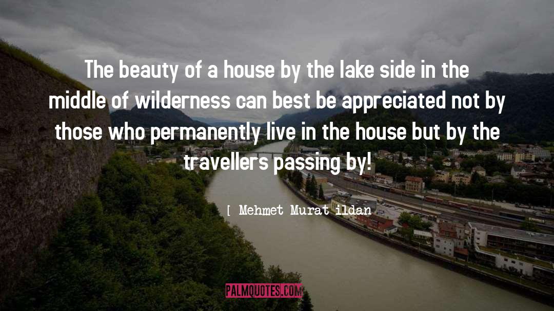 Travellers quotes by Mehmet Murat Ildan