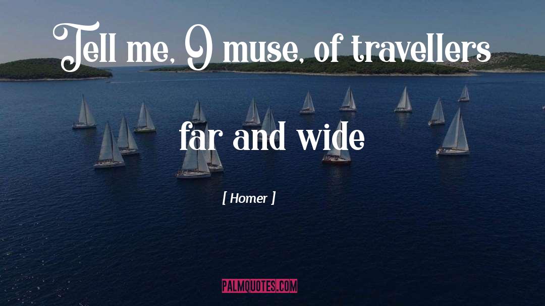 Travellers quotes by Homer