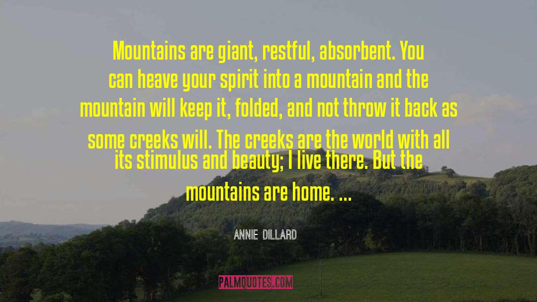 Travelling Back Home quotes by Annie Dillard