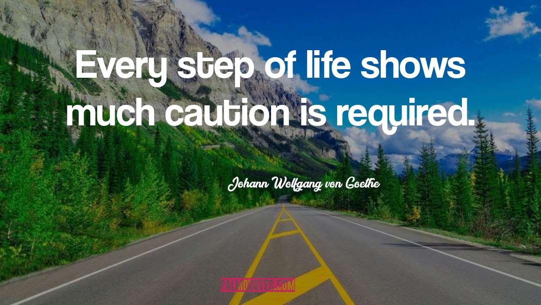 Tread With Caution quotes by Johann Wolfgang Von Goethe