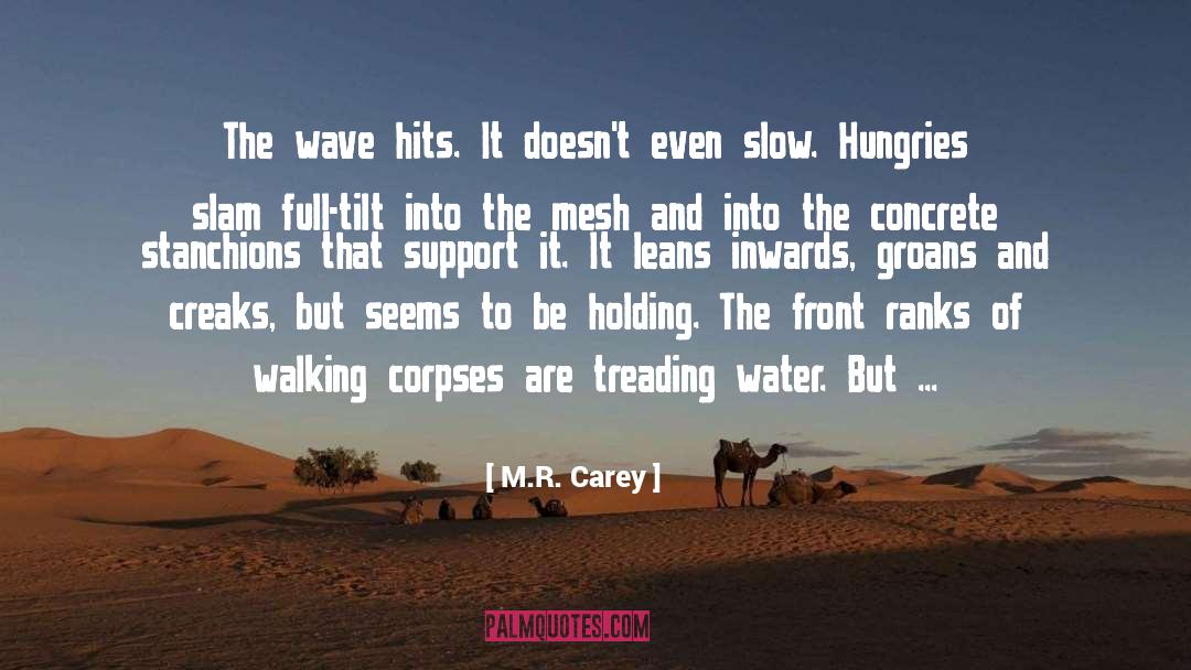 Treading quotes by M.R. Carey