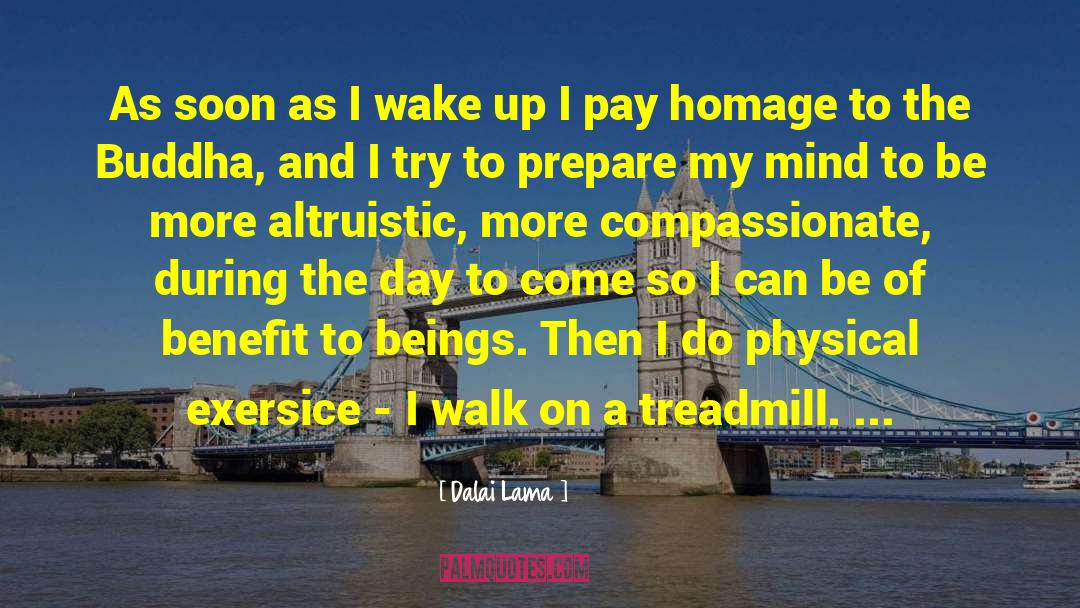 Treadmills quotes by Dalai Lama