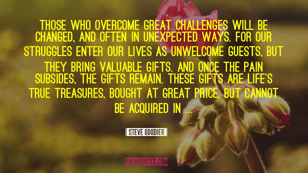 Treasures Within quotes by Steve Goodier