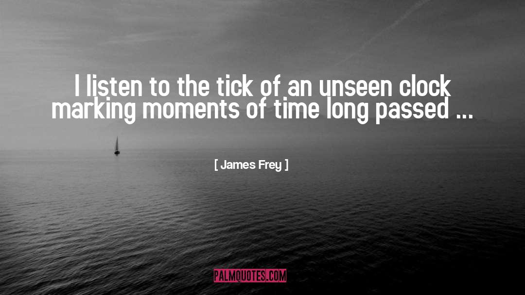 Treasuring Moments quotes by James Frey