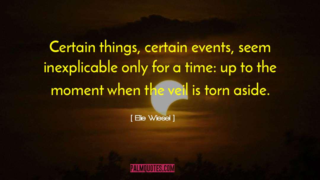 Treasuring The Moment quotes by Elie Wiesel