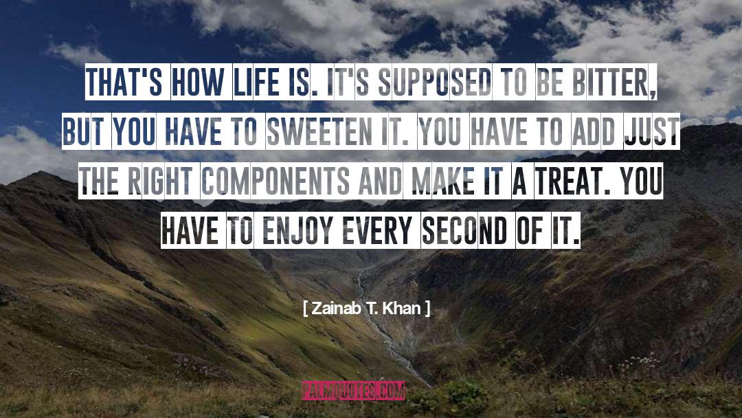 Treat Yourself quotes by Zainab T. Khan
