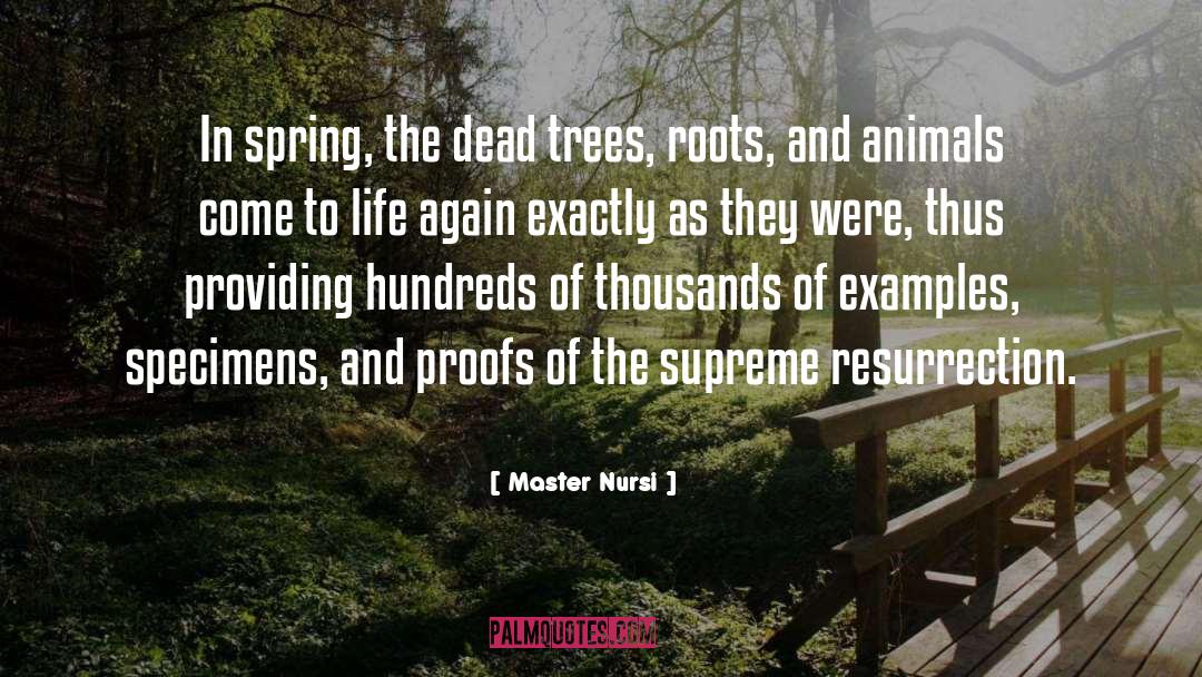 Tree Analogy quotes by Master Nursi