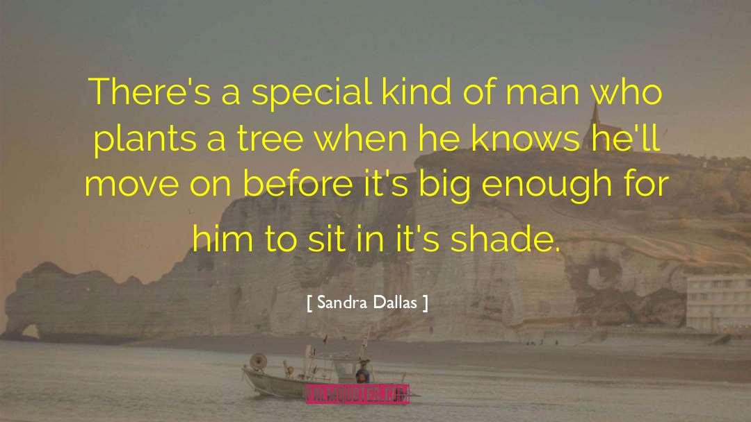 Tree Analogy quotes by Sandra Dallas