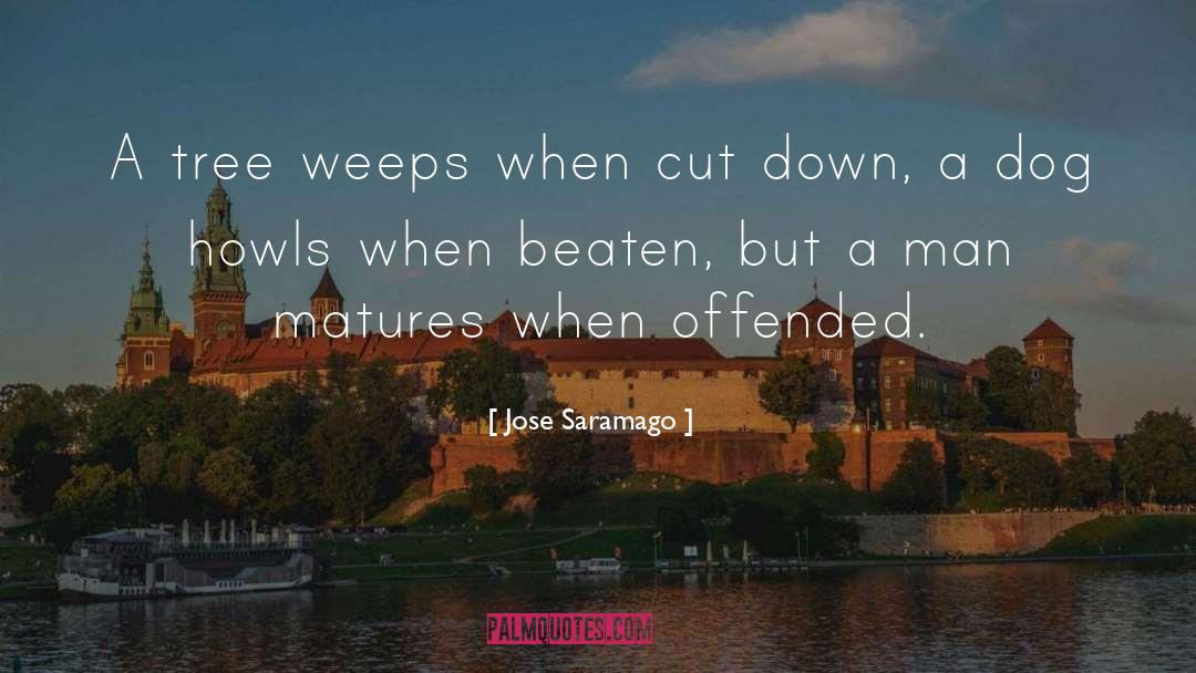 Tree Cutting quotes by Jose Saramago