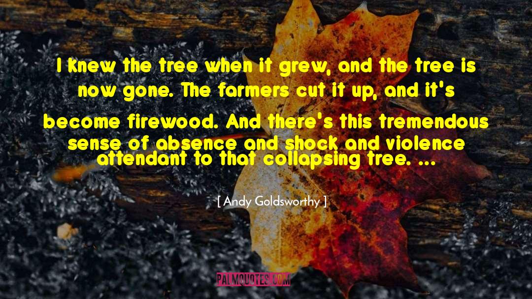 Tree Cutting quotes by Andy Goldsworthy
