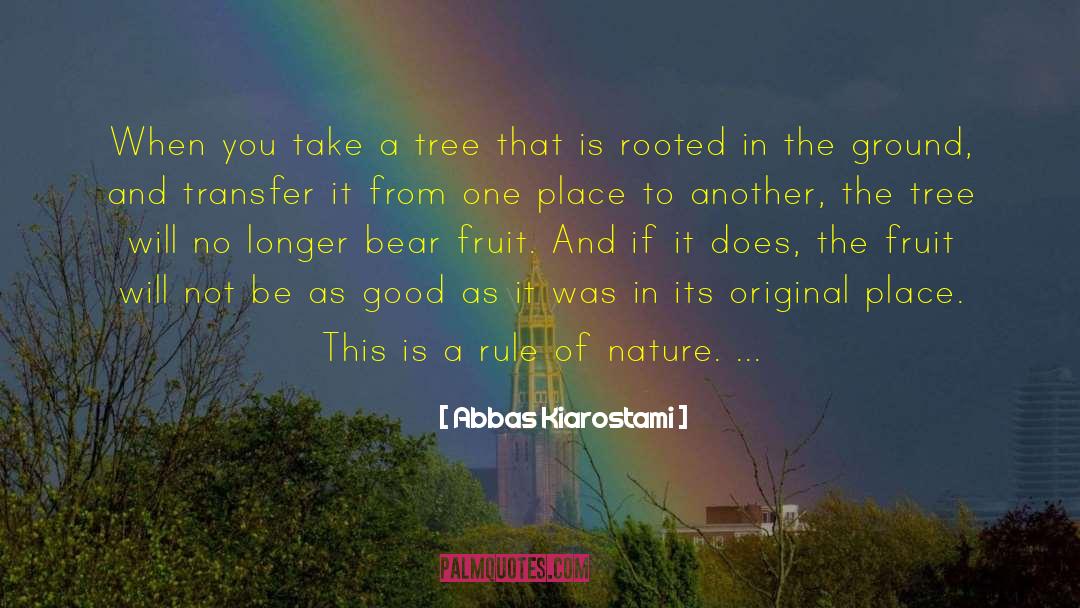 Tree Huggers quotes by Abbas Kiarostami