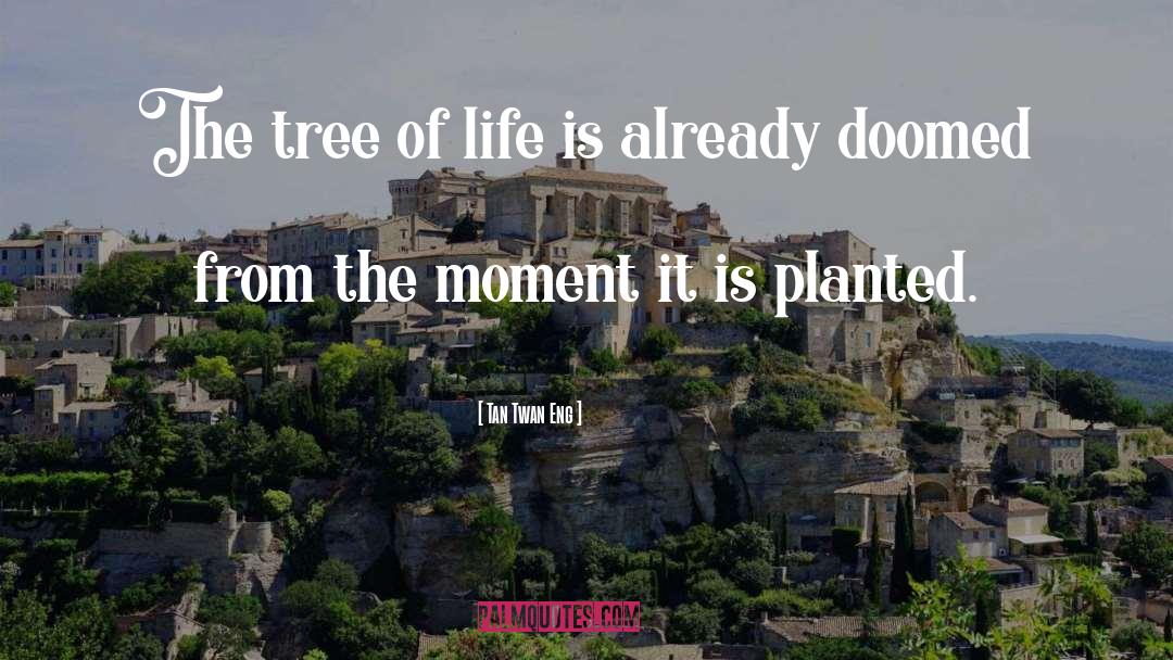 Tree Of Life quotes by Tan Twan Eng