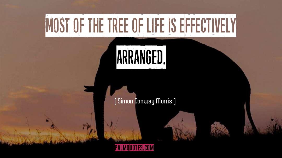 Tree Of Life quotes by Simon Conway Morris