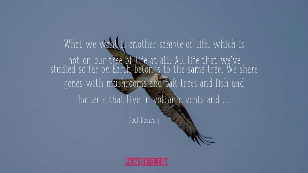 Tree Of Life quotes by Paul Davies