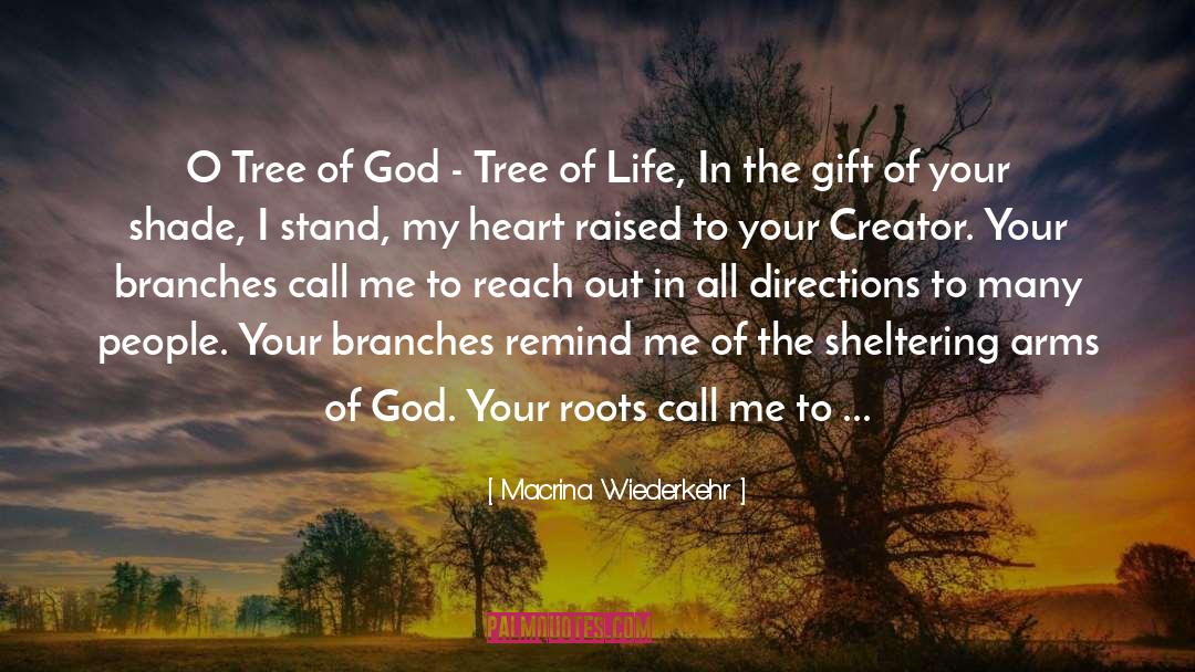 Tree Of Life quotes by Macrina Wiederkehr