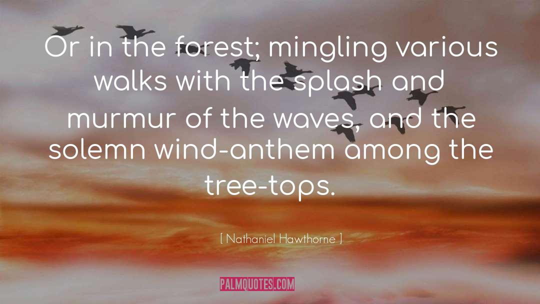 Tree Tops quotes by Nathaniel Hawthorne