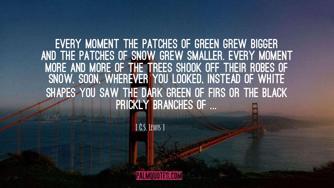 Tree Tops quotes by C.S. Lewis