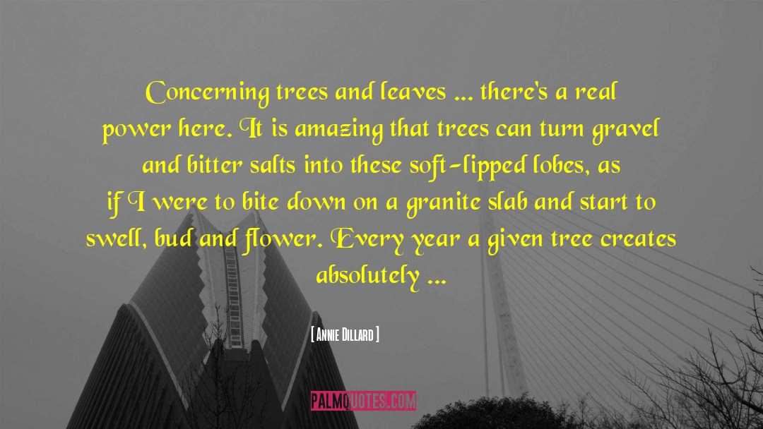 Tree Trunks quotes by Annie Dillard