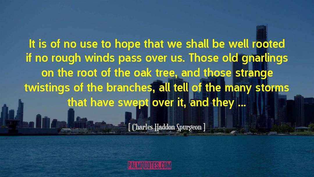 Tree Tunnels quotes by Charles Haddon Spurgeon
