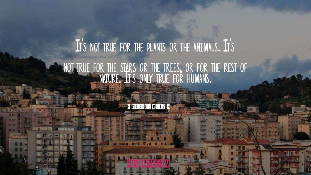 Trees Environment quotes by Miguel Ruiz
