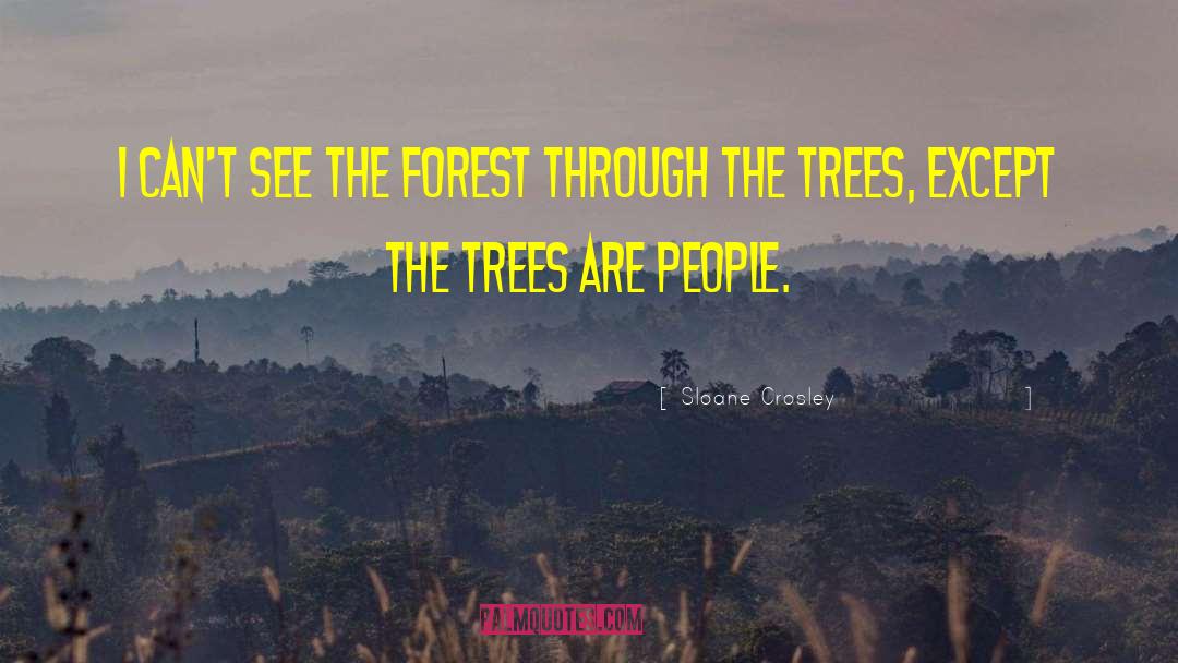 Trees Forest quotes by Sloane Crosley