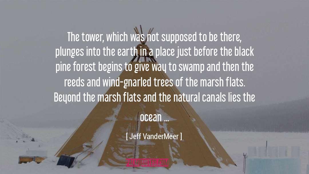 Trees quotes by Jeff VanderMeer