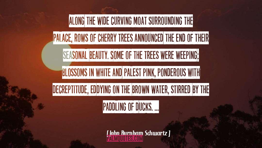 Trees Tweedledum Tweedledee quotes by John Burnham Schwartz