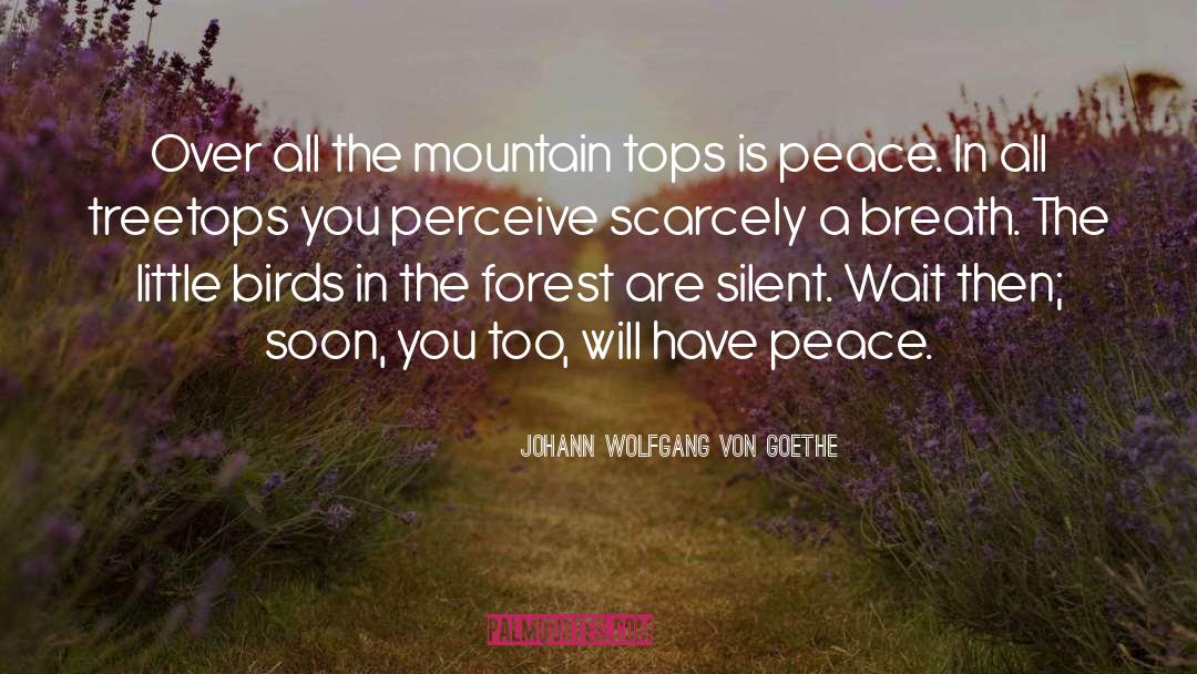 Treetops quotes by Johann Wolfgang Von Goethe
