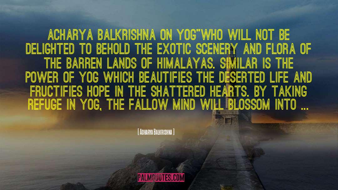 Trek The Himalayas quotes by Acharya Balkrishna