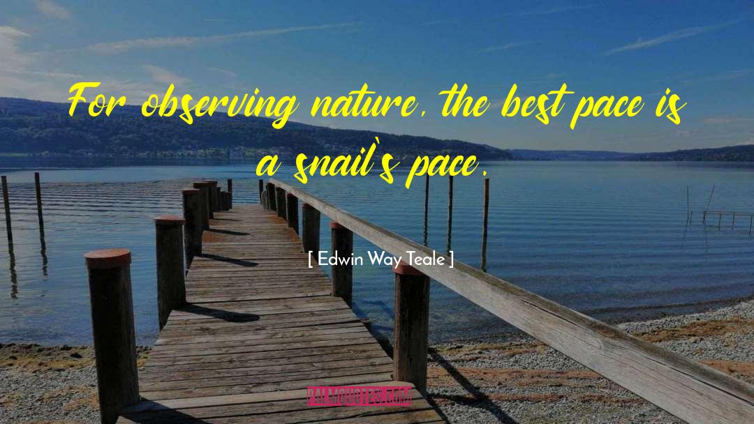 Trekking quotes by Edwin Way Teale