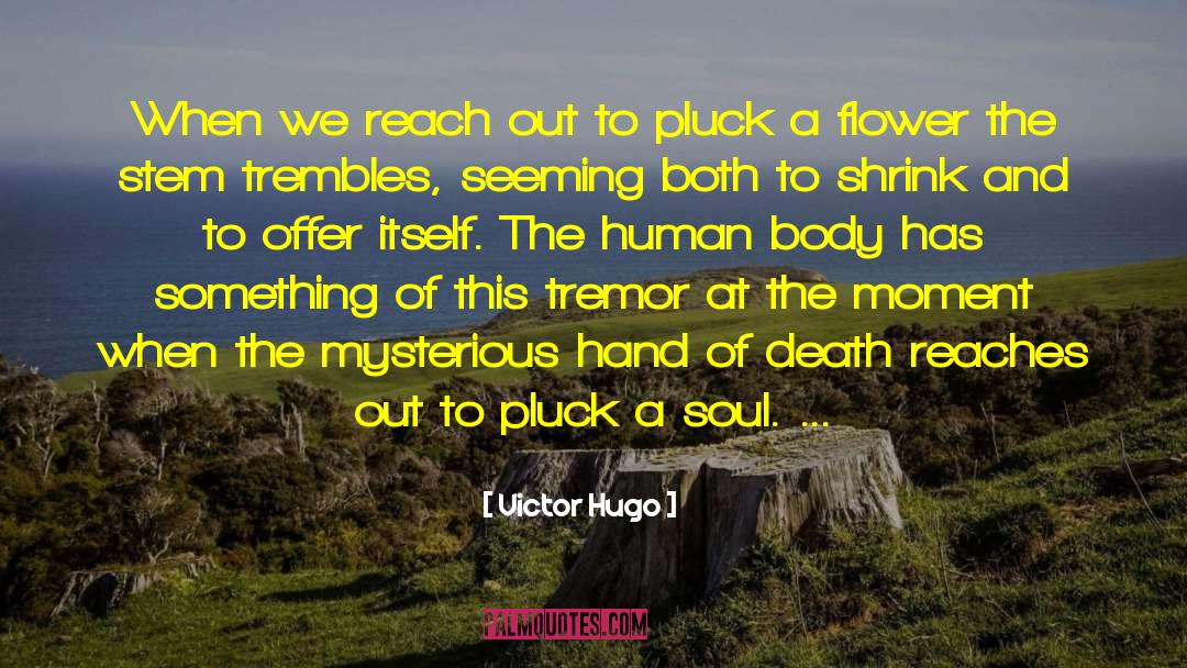 Tremor quotes by Victor Hugo