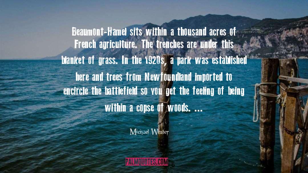 Trenches quotes by Michael Winter