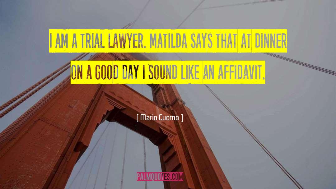 Trial Lawyers quotes by Mario Cuomo