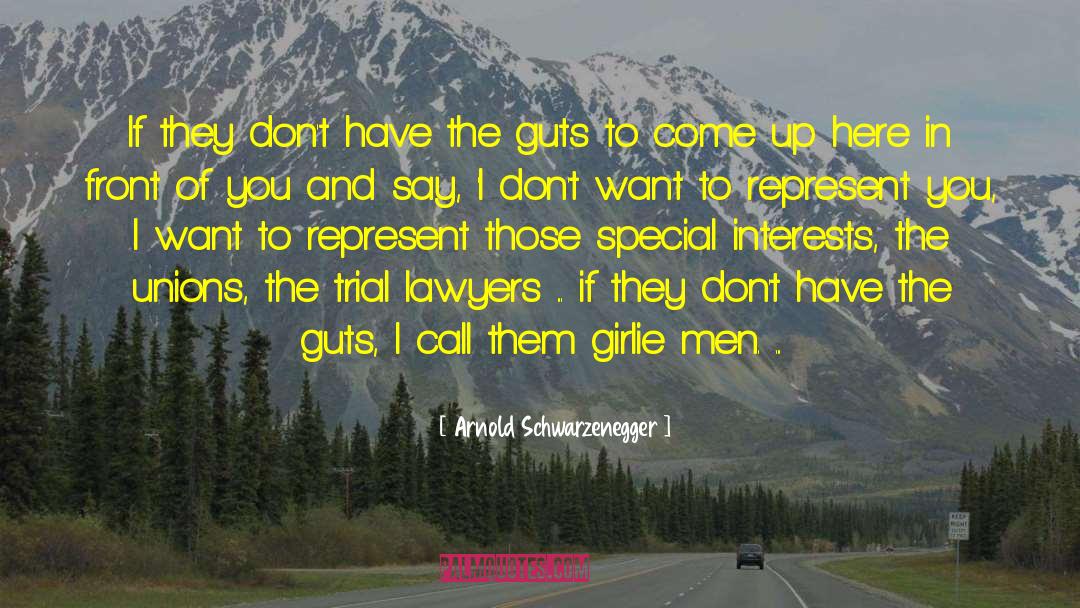 Trial Lawyers quotes by Arnold Schwarzenegger