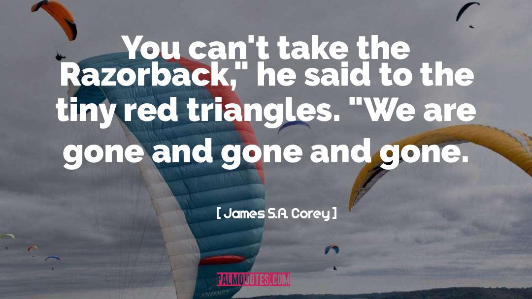 Triangles quotes by James S.A. Corey