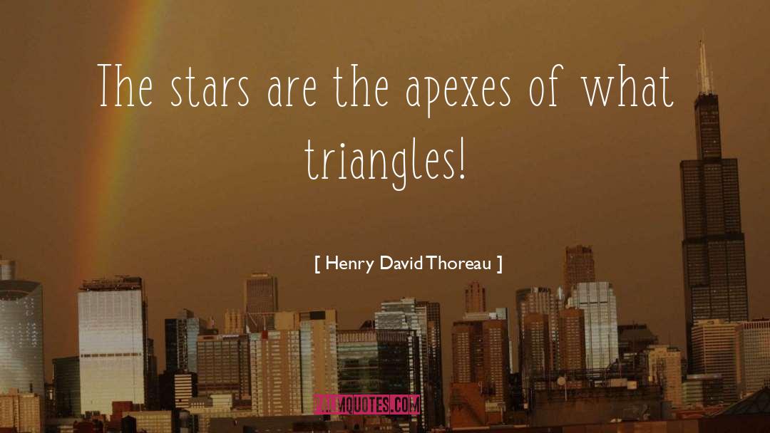 Triangles quotes by Henry David Thoreau