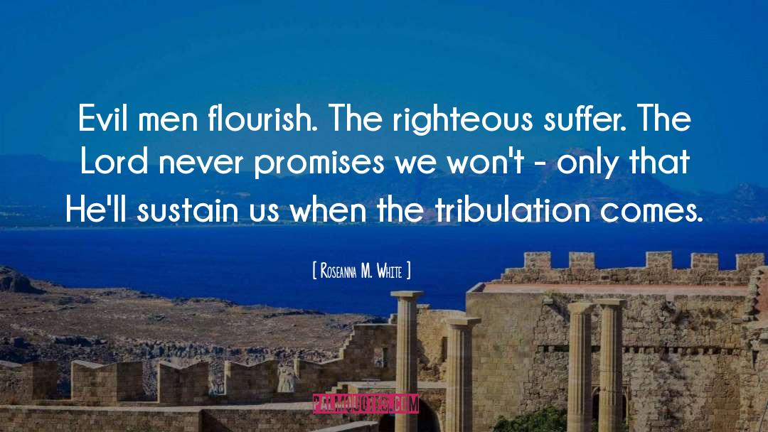 Tribulation quotes by Roseanna M. White