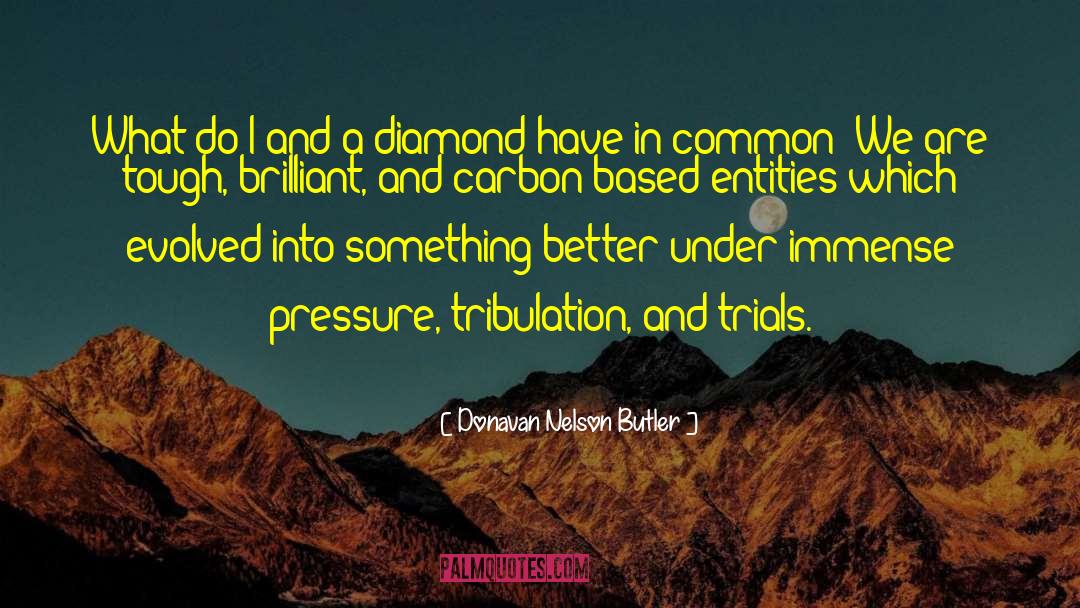 Tribulation quotes by Donavan Nelson Butler