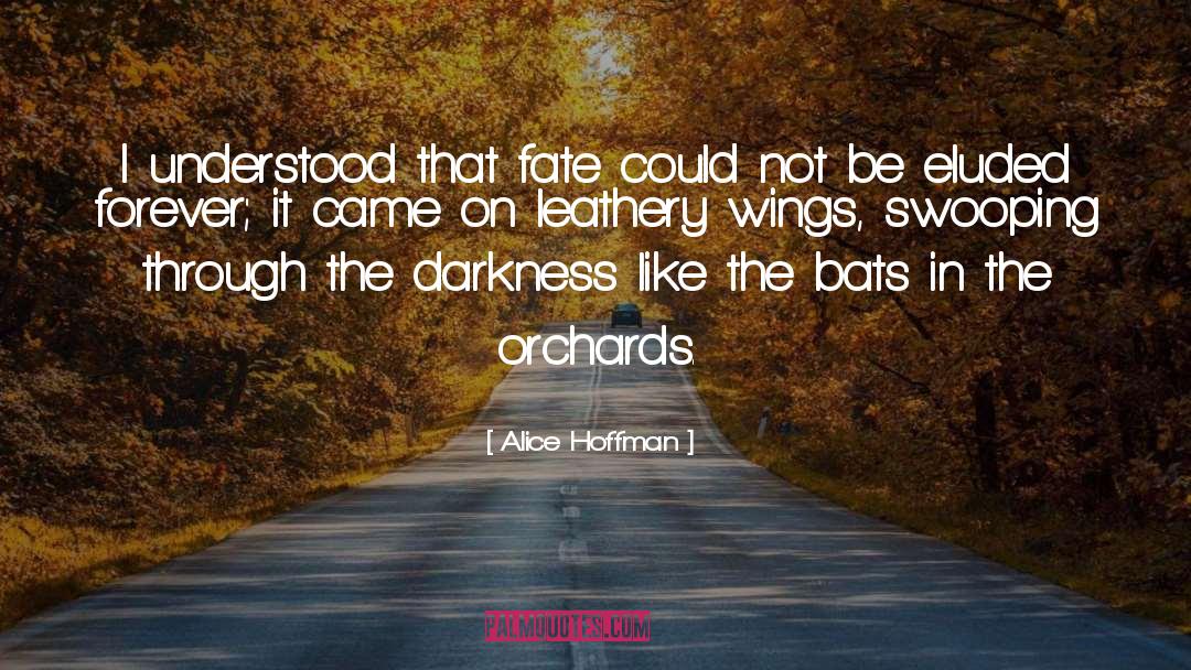 Tricolored Bats quotes by Alice Hoffman