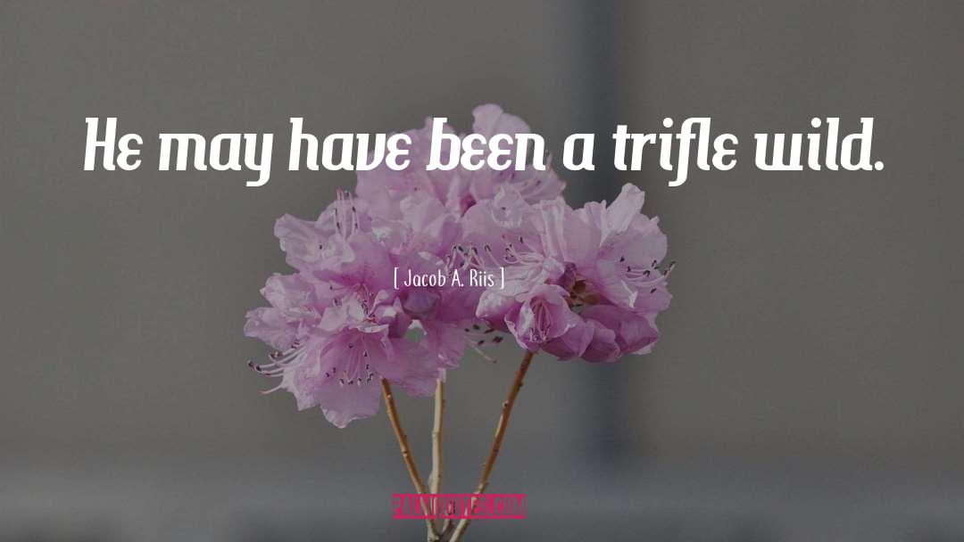 Trifle quotes by Jacob A. Riis