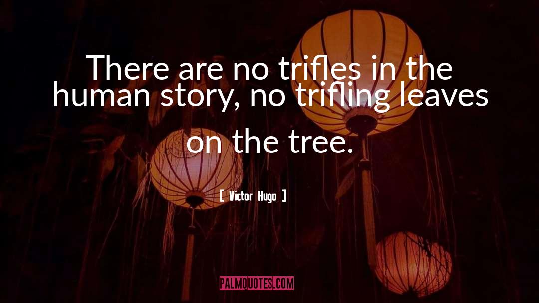 Trifles quotes by Victor Hugo