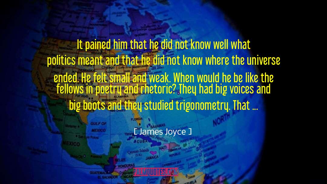 Trigonometry quotes by James Joyce