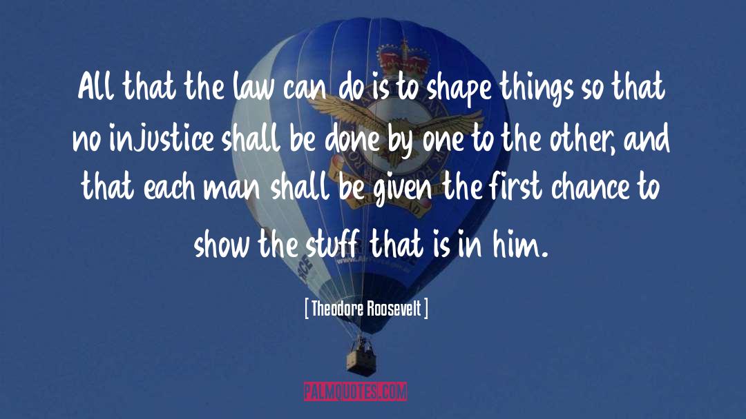 Trimarco Law quotes by Theodore Roosevelt
