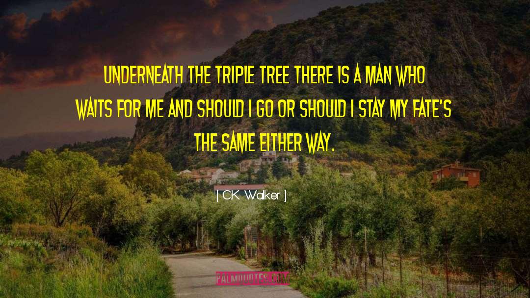 Triple D quotes by C.K. Walker
